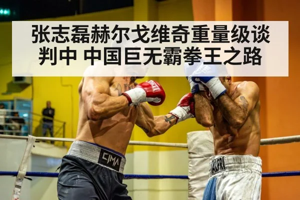 张志磊赫尔戈维奇重量级谈判中 中国巨无霸拳王之路