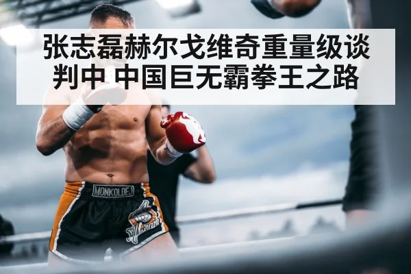 chinese heavyweight boxer