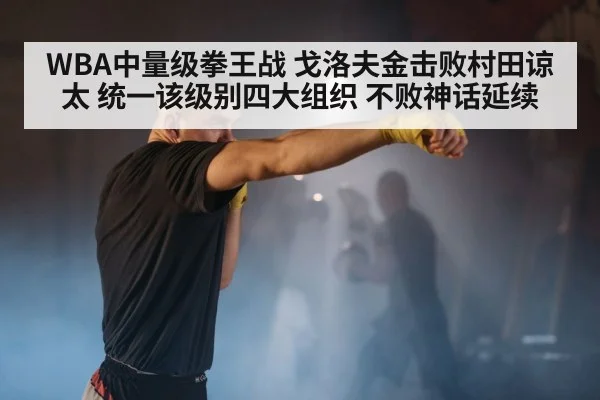 boxer punching
