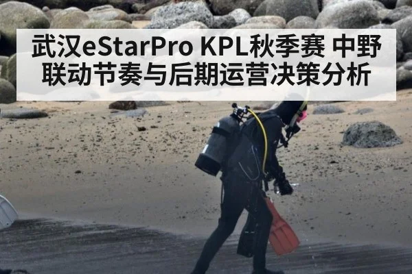 武汉eStarPro KPL秋季赛 中野联动节奏与后期运营决策分析
