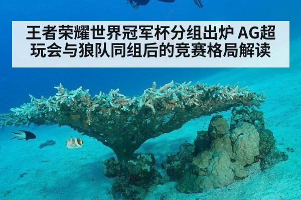 王者荣耀世界冠军杯分组出炉 AG超玩会与狼队同组后的竞赛格局解读